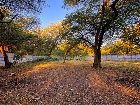 TERRENO EN VENTA DE 1250 M² EN LOS ROMANOS