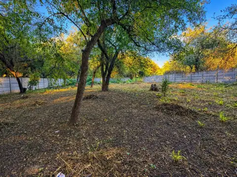 Terreno en venta de 1250 m² en los romanos