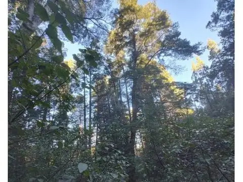 Terreno en Venta en Epuyen, USD 55.000