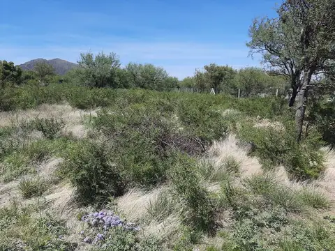 Terreno en Venta de 1200,0 m2