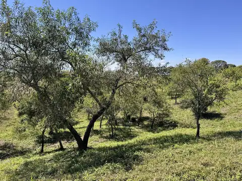 Loma 2 La Reserva de San Lorenzo Chico