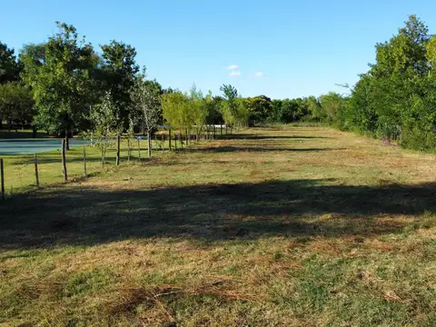 Camino de la Peninsula