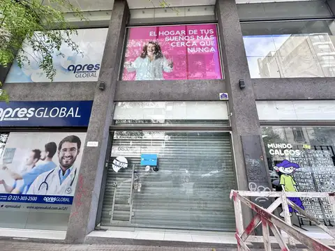 Local comercial - Zona 46 y 8