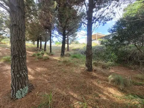 Terreno en Venta en Barrio Ecuestre, USD 40.000