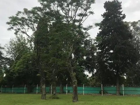 Terreno en Venta 14  mts Frente