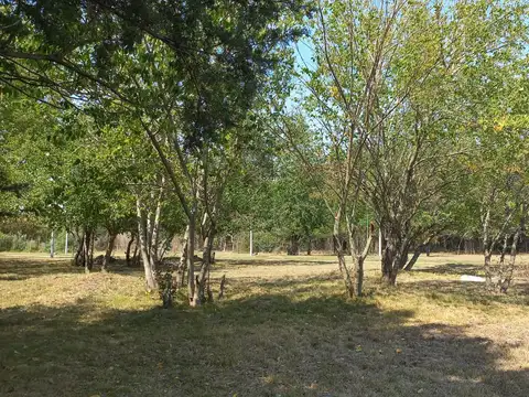 OPORTUNIDAD LOTE EN VENTA BARRIO PRIVADO: 407 ENTRE 19 Y 21 - VILLA ELISA