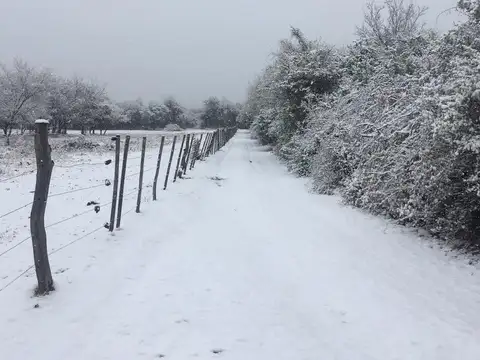 Terreno en Venta en Villa De Las Rosas, USD 17.000