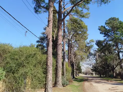 Terreno en Venta 20  mts Frente