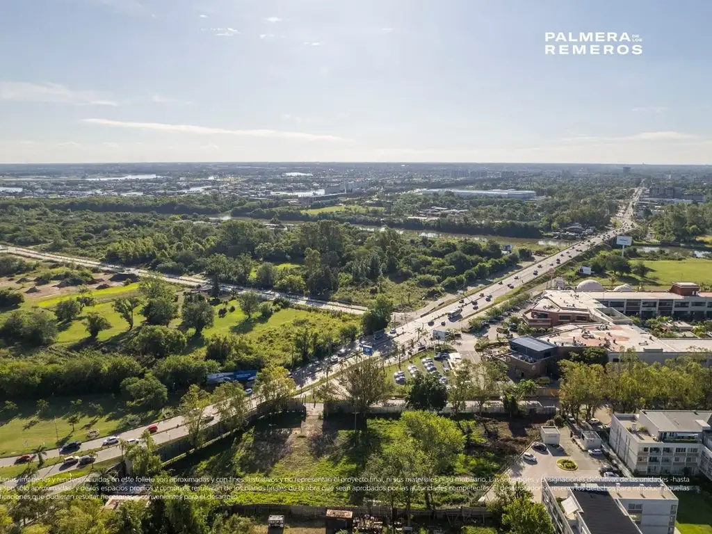 PALMERA DE LOS REMEROS en Rincon De Milberg