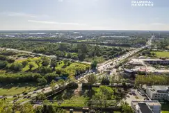 PALMERA DE LOS REMEROS en Rincon De Milberg