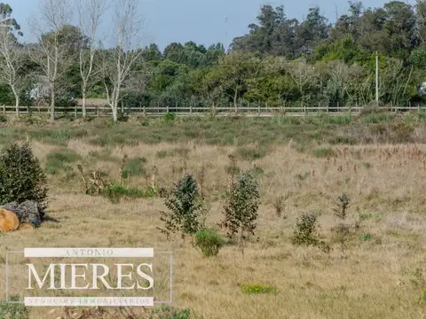 Quinta en Venta en José Ignacio, USD 480.000