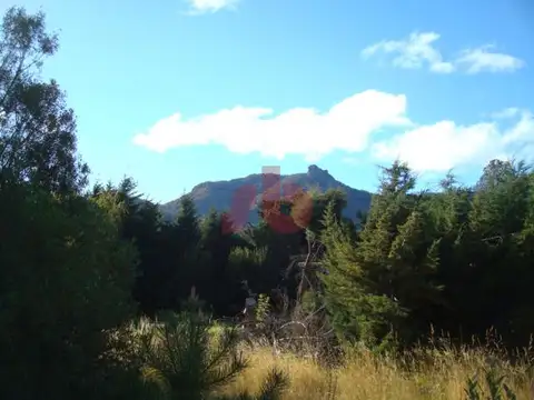 Terreno en Venta de 4498,0 m2