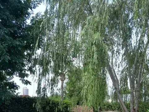 Casa en Venta 42 años