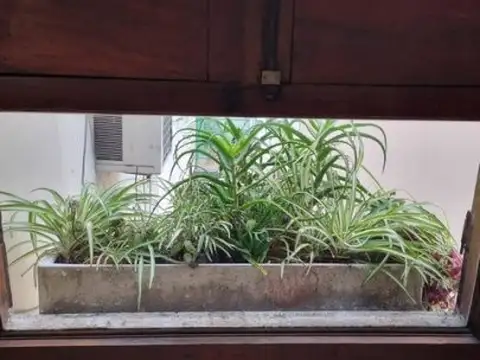 Charcas 3200 , Piso No definido