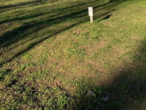 Terreno en Venta 20  mts Fondo