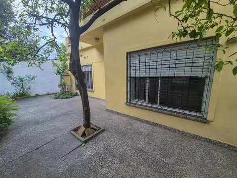 Campichuelo 6636