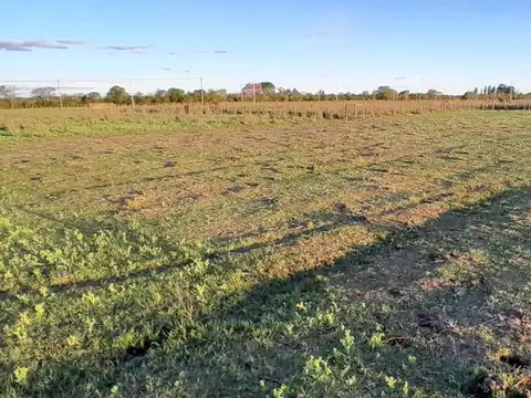 Terreno en Venta de 1650,0 m2