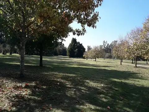 Chacras Ruta 205 Km 54,5