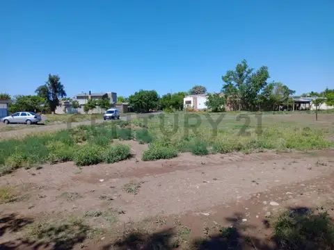 Las Fucseas , Piso 0