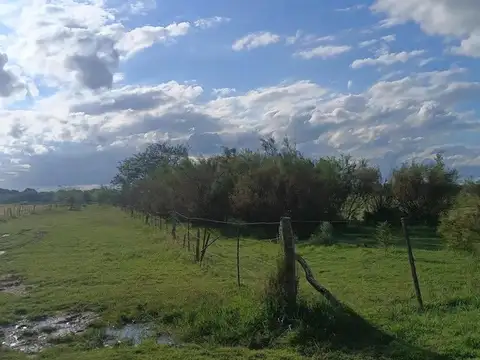 Penna e/ Jara y 1