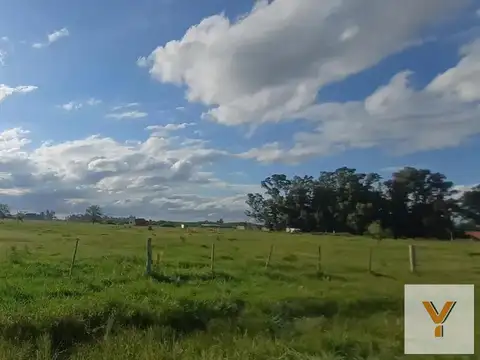 Terreno en venta - 10.240Mts2 - Cañuelas