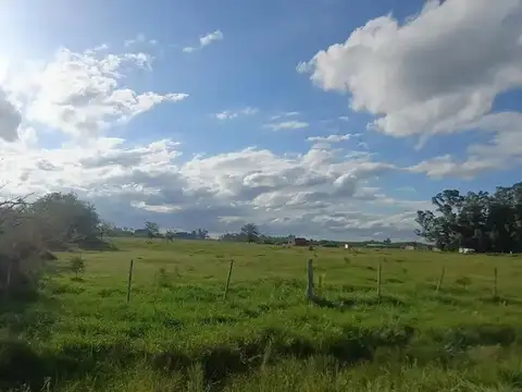 Terreno en venta - 10.240Mts2 - Cañuelas
