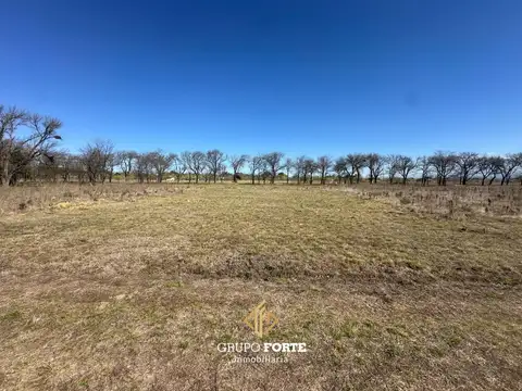 El Cedron