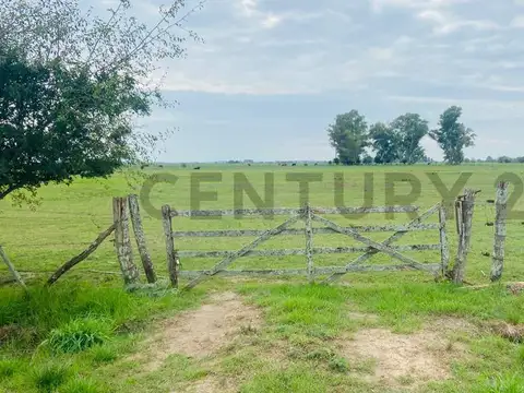 Campo en venta Magdalena, Estación Ferrari.