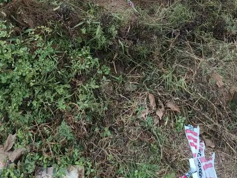 Terreno en Venta en Oliveros, USD 10.000