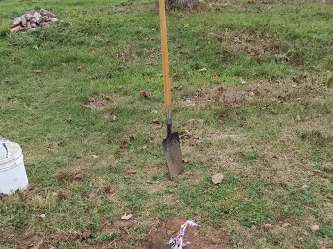 Tucumán y Alsina, Lotes J, K, L, M y N