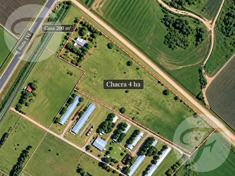 CHACRA DE 4 HA EN ESQUINA SOBRE RUTA 191 CON CASA, GRAN PARQUE Y EXCELENTE ACCESO – SAN PEDRO
