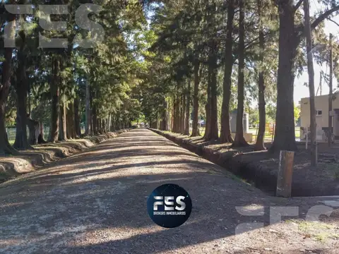 Excelente campo con infraestructura venta la plata