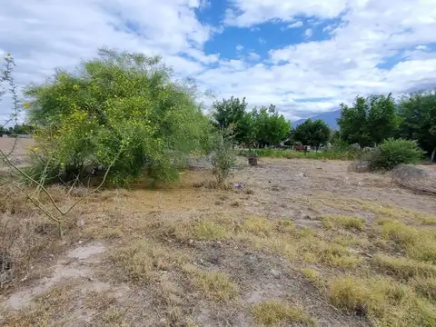 Terreno en Venta de 2988,0 m2