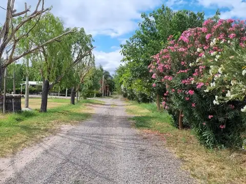 Terreno en Venta en Quinto Cuartel, Pocito