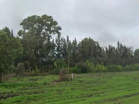 Campo en Venta de 1  ha
