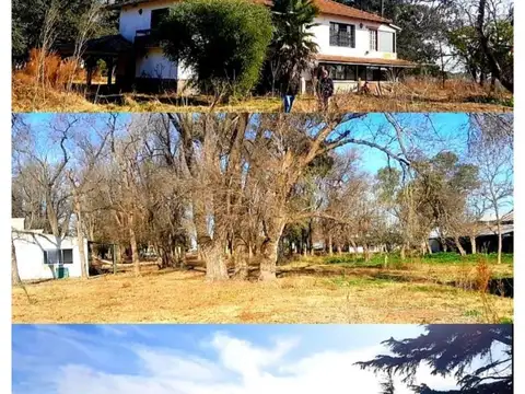 Campo con instalaciones de Feedlot en venta – Las Flores, B