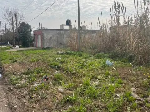 153 e/ 519 y 520 100