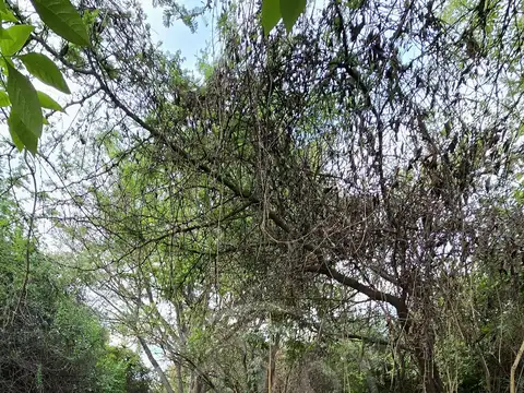 Terreno en Venta en Barrio Los Troncos, USD 16.000