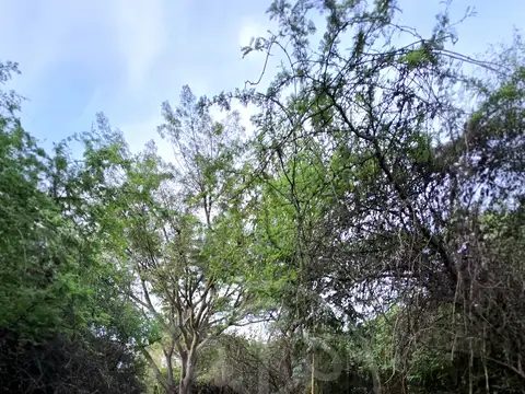 Terreno en Venta 10  mts Frente