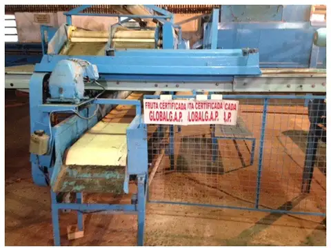 Quinta Cítrica Exportación UE : Aptitud Citrícola y Forestal