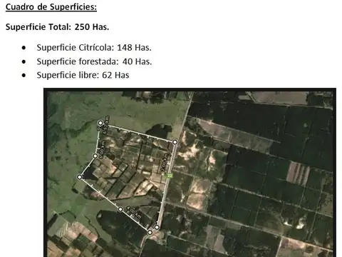 Quinta Cítrica Exportación UE : Aptitud Citrícola y Forestal