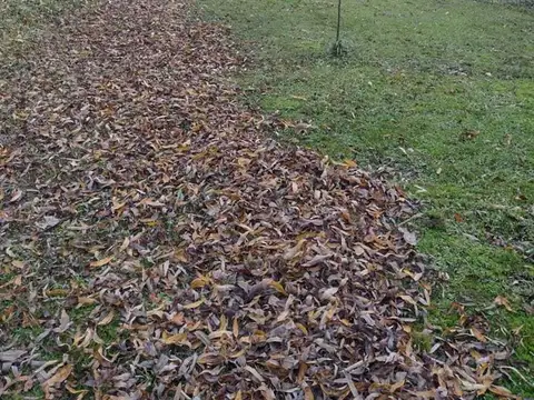 Rio o Arroyo Caraguatá Isla Serenidad NUEVO VALOR 300