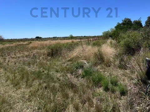 Venta de campo en La Plata