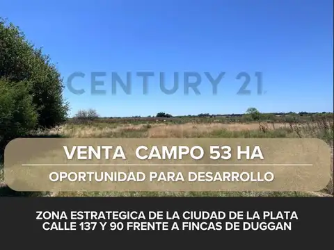 Venta de campo en La Plata