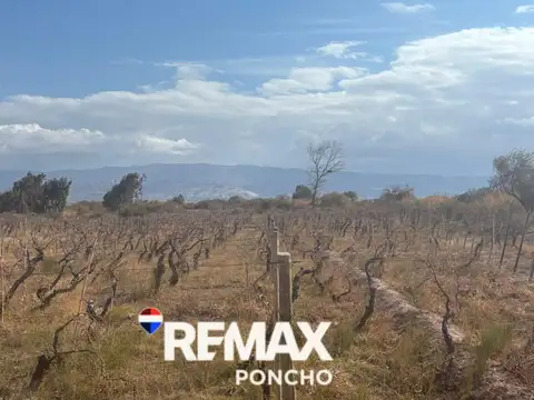Terreno en Venta en Fiambala, USD 92.655