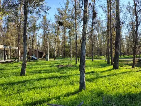 Campo Timbó