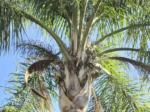 CASA QUINTA ALEJANDRO KORN APTO CREDITO