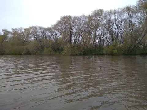 Terreno Lote  en Venta en San Antonio, Zona Delta, Tigre