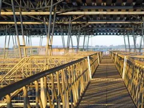 Lote Comercial En Mercado Agroganadero - Rp6 Km 88