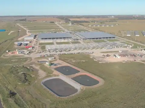 Venta Lote Comercial en Mercado Agroganadero de Cañuelas